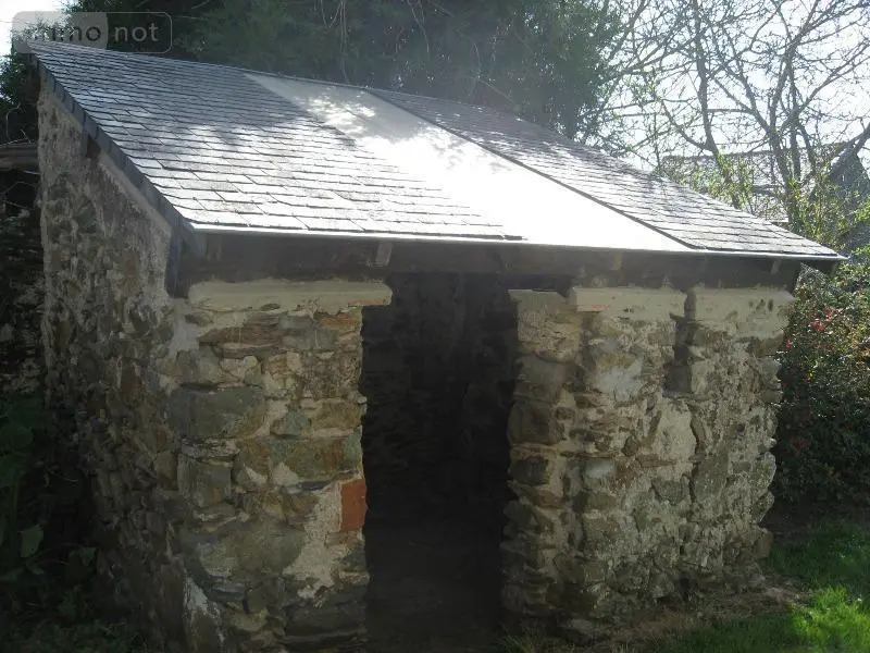 photos