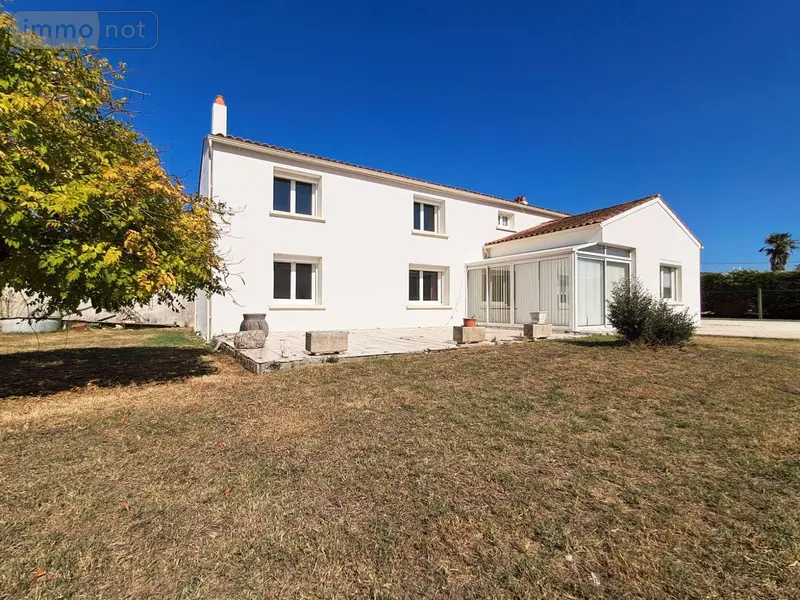 photos
