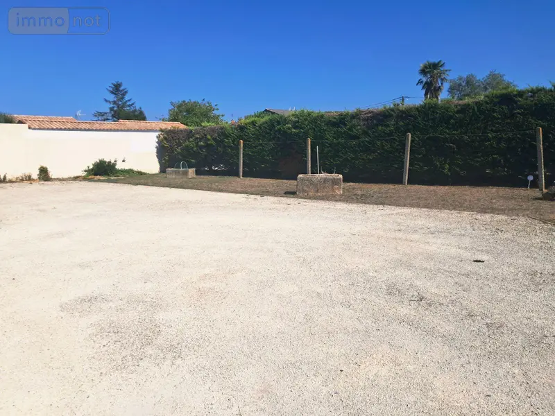 photos