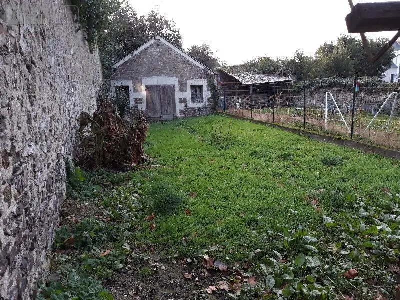 photos