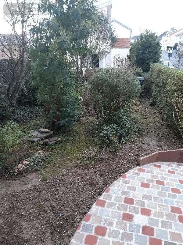 photos