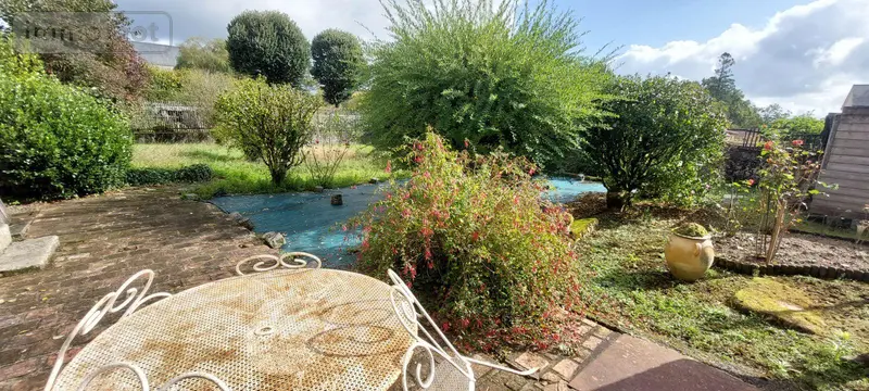 photos