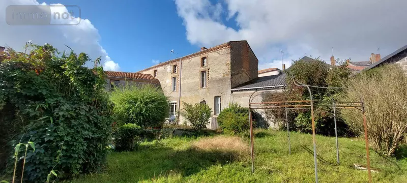 photos