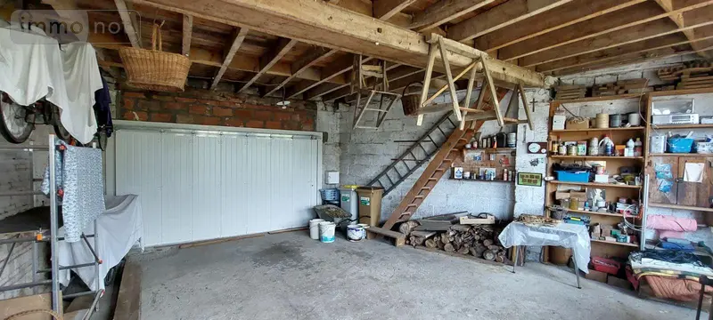 photos