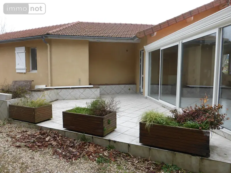 photos