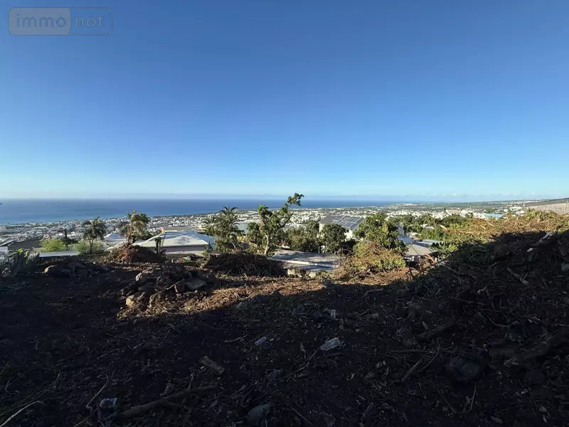 photos