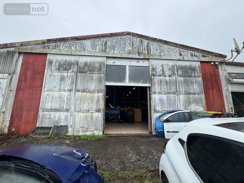 photos