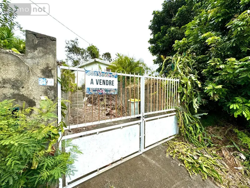 photos