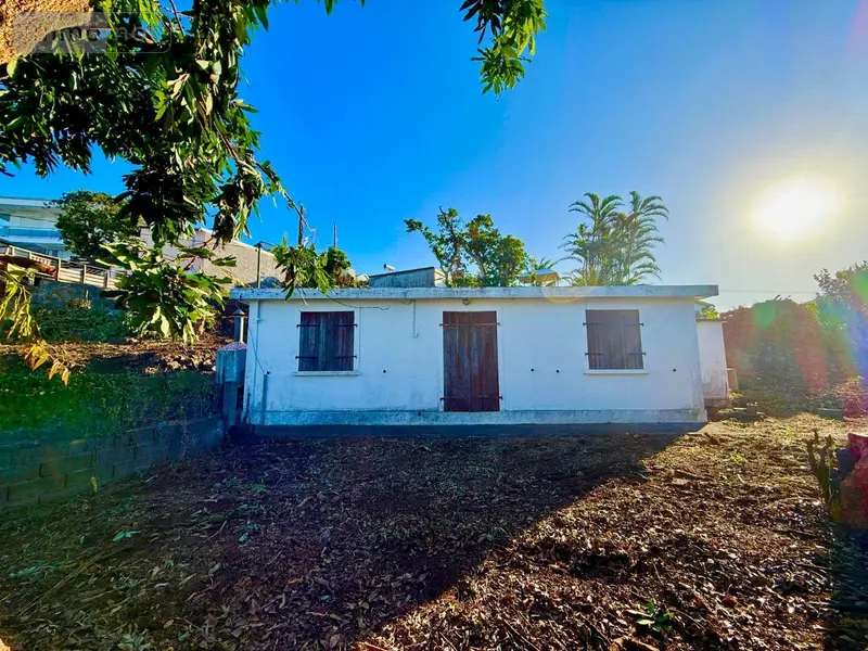 photos