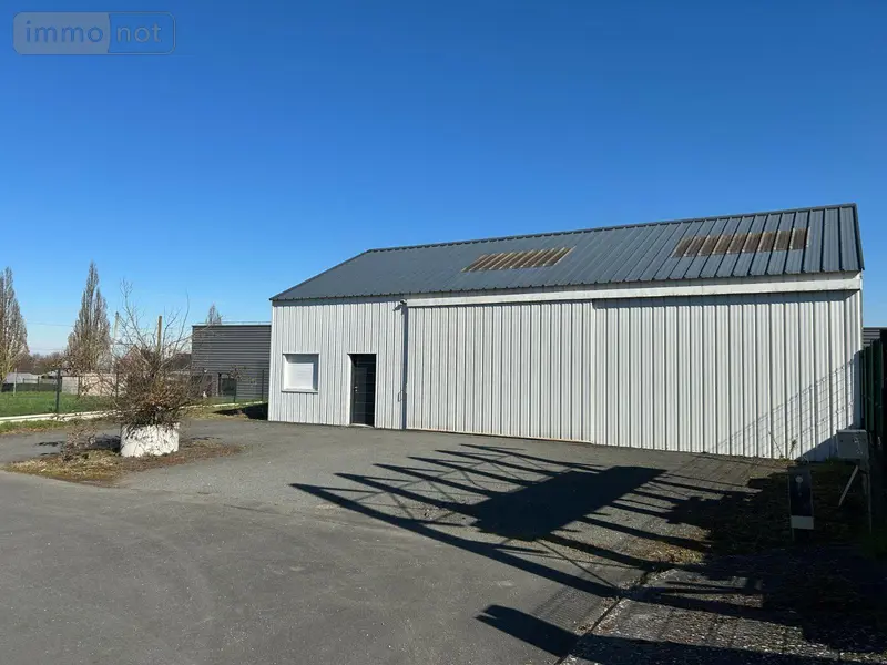 photos