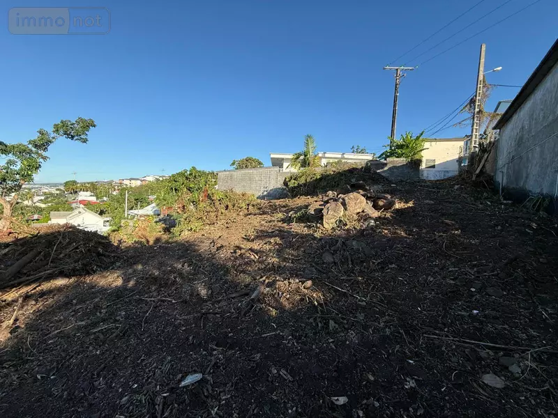 photos