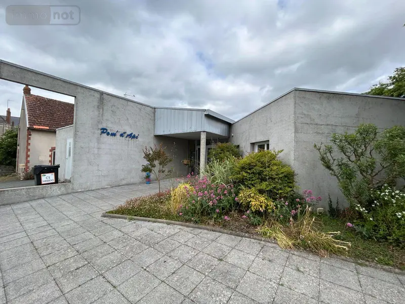 photos