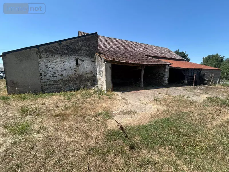 photos