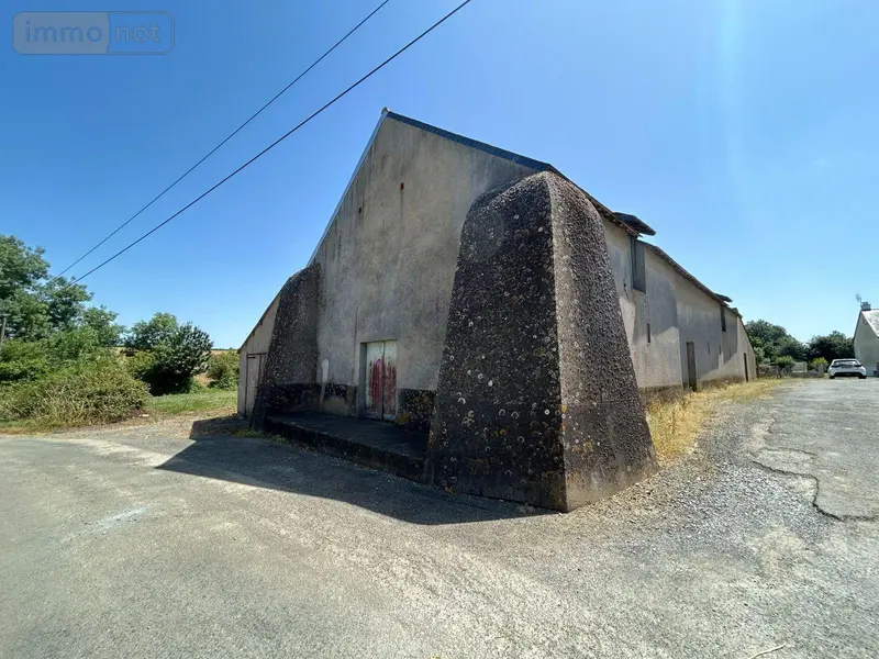 photos