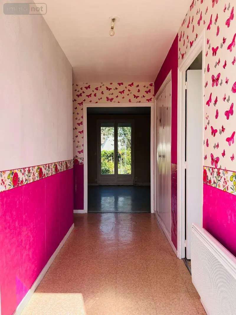 photos