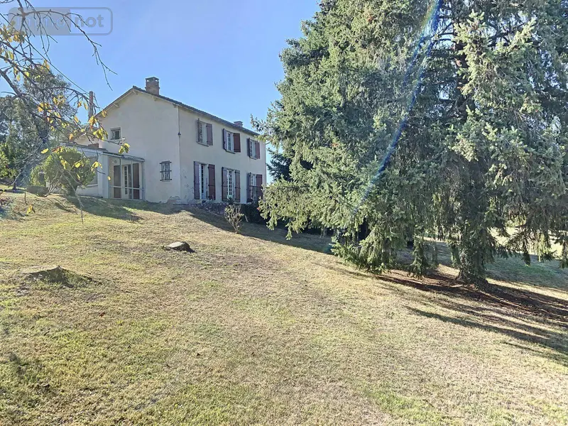 photos