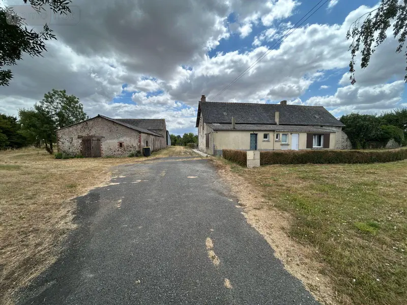 photos