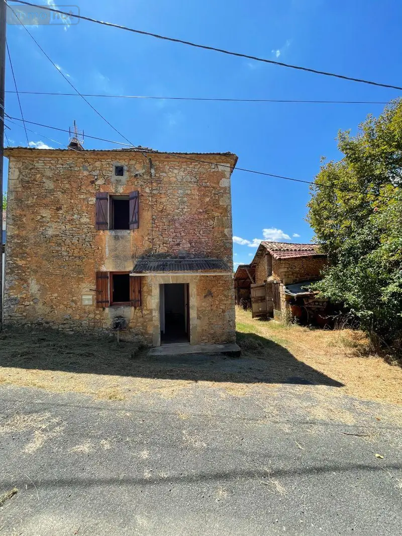 photos