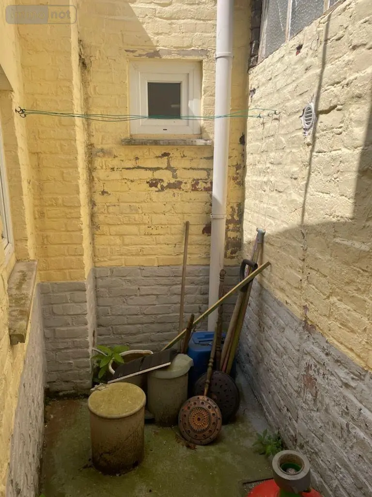 photos