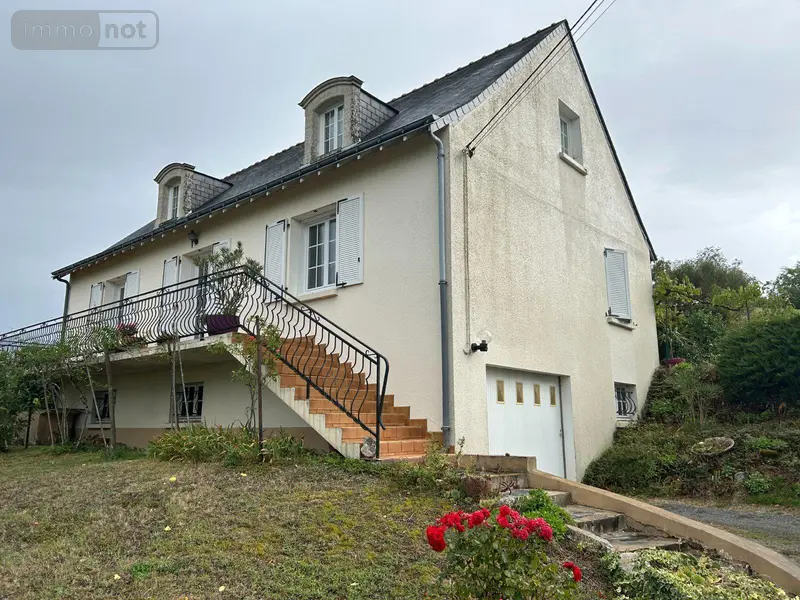 photos
