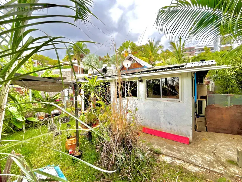photos