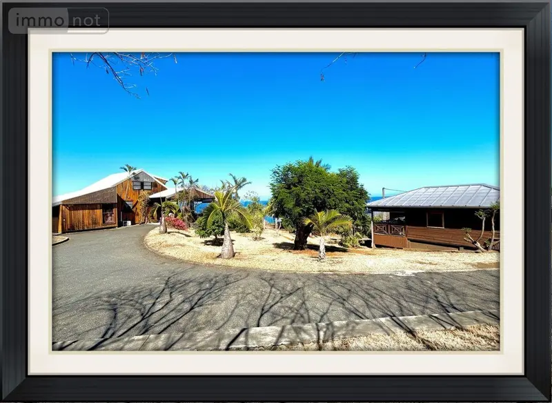 photos