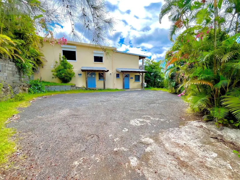 photos