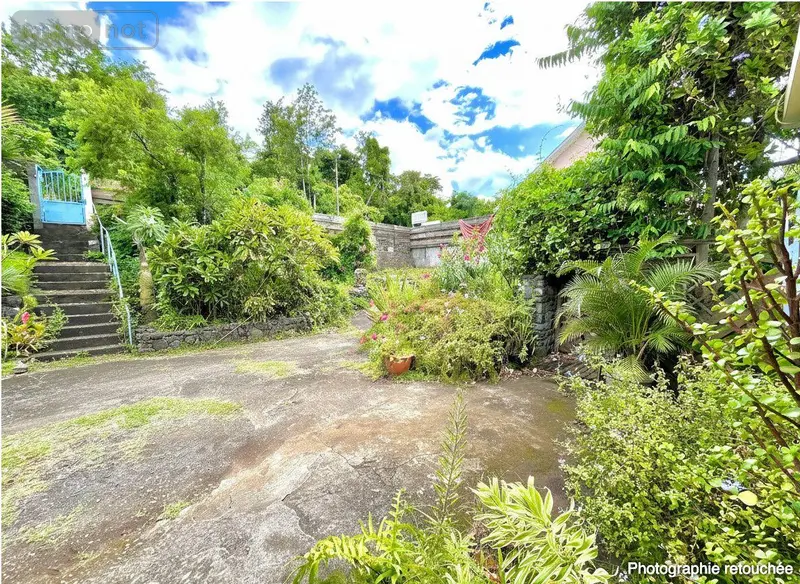 photos