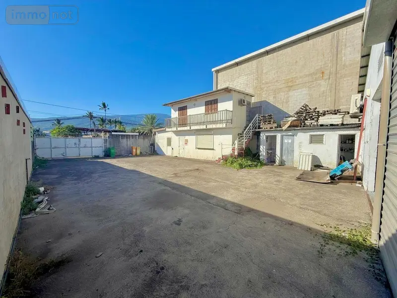 photos