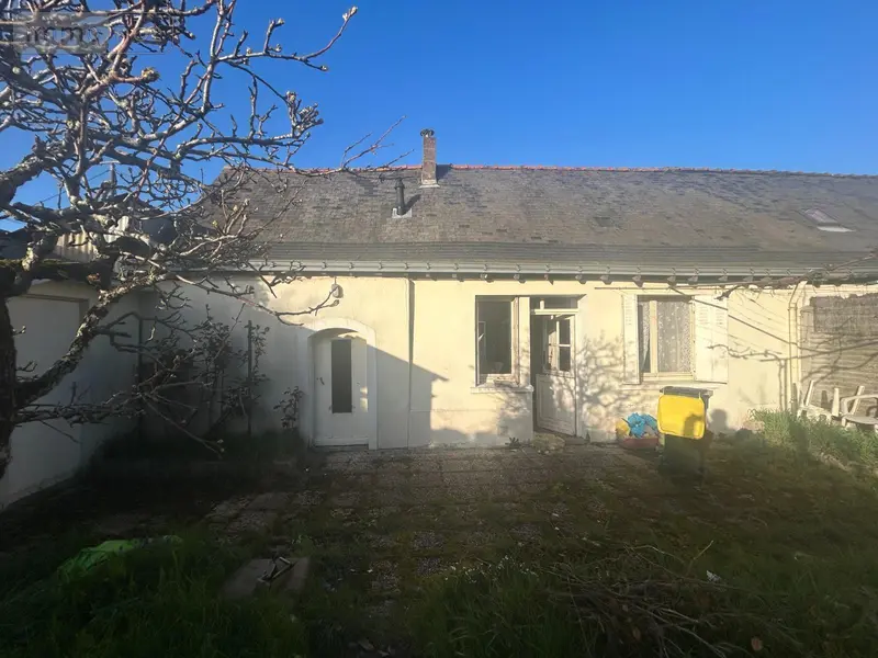 photos
