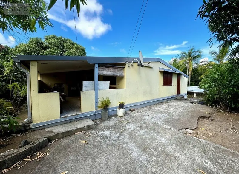 photos