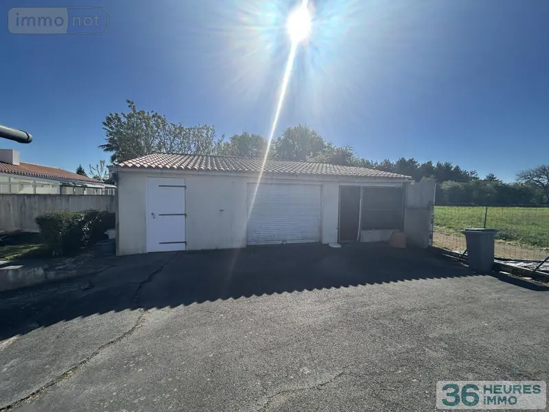 photos