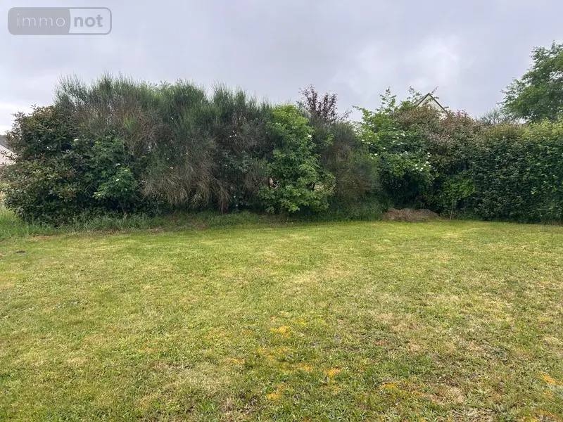 photos