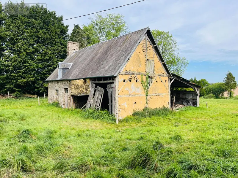 photos