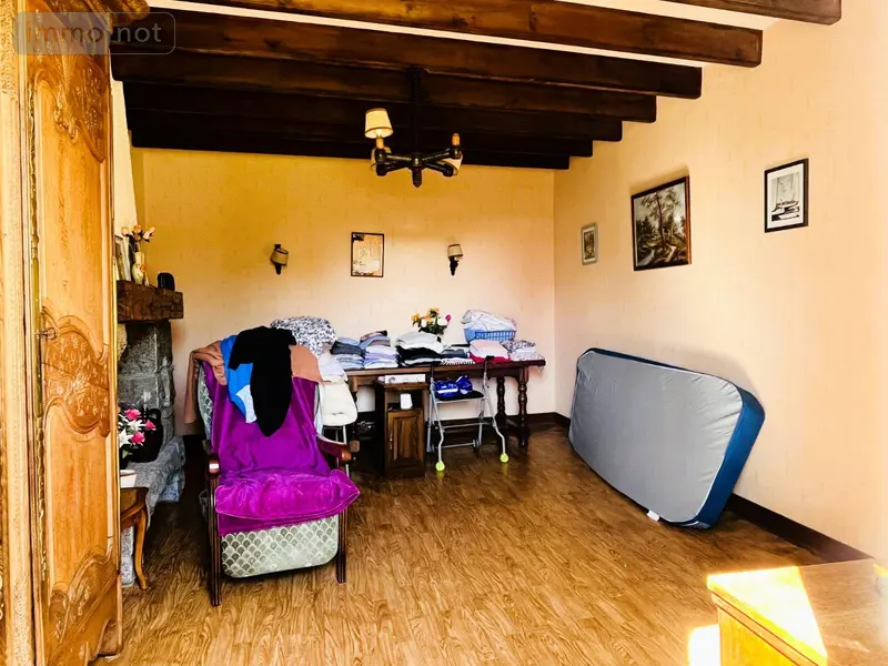 photos