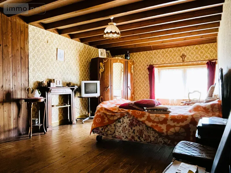 photos