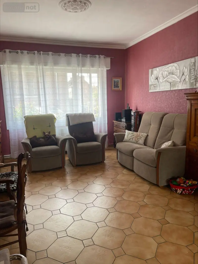 photos