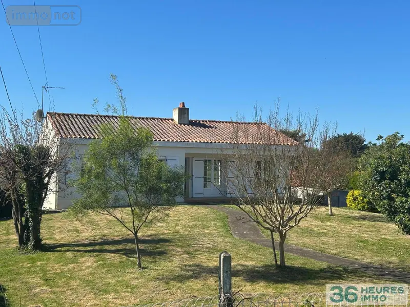 photos