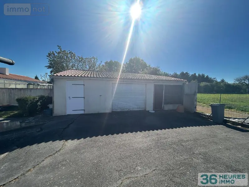 photos