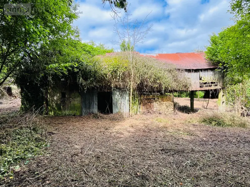 photos