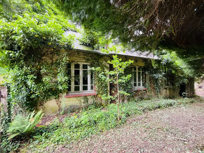 photos