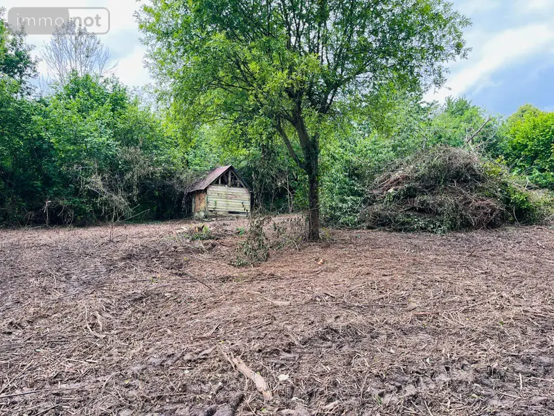 photos
