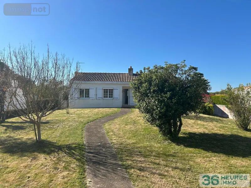 photos