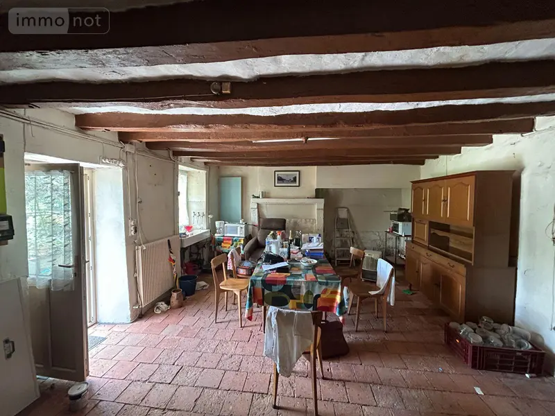 photos