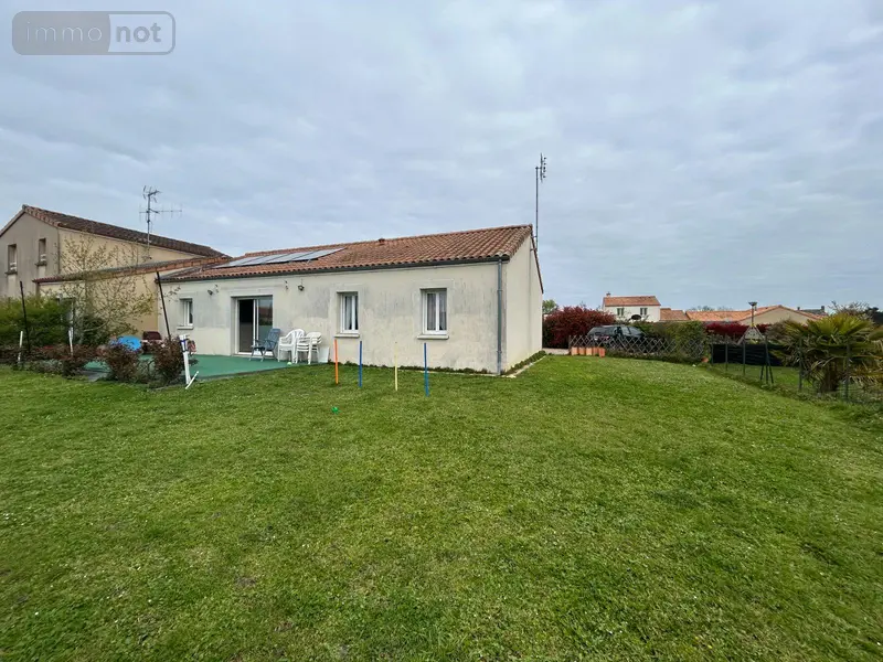 photos