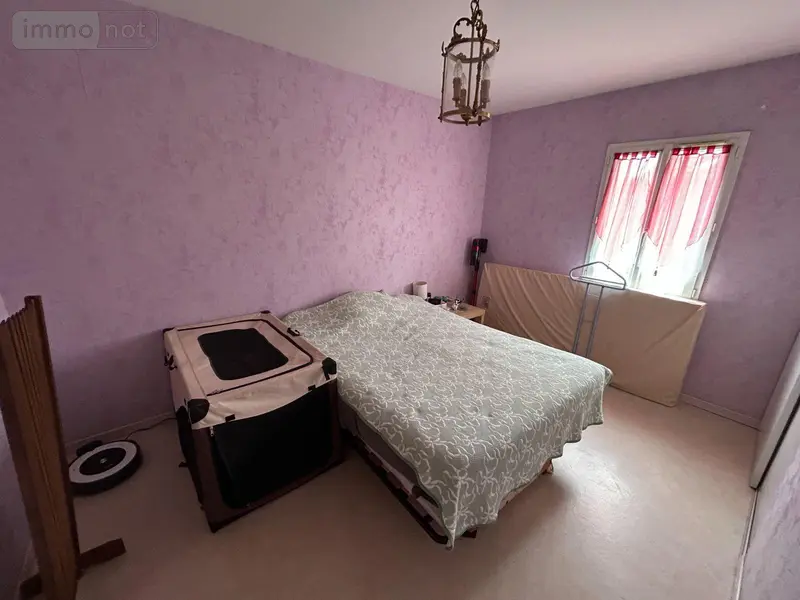 photos
