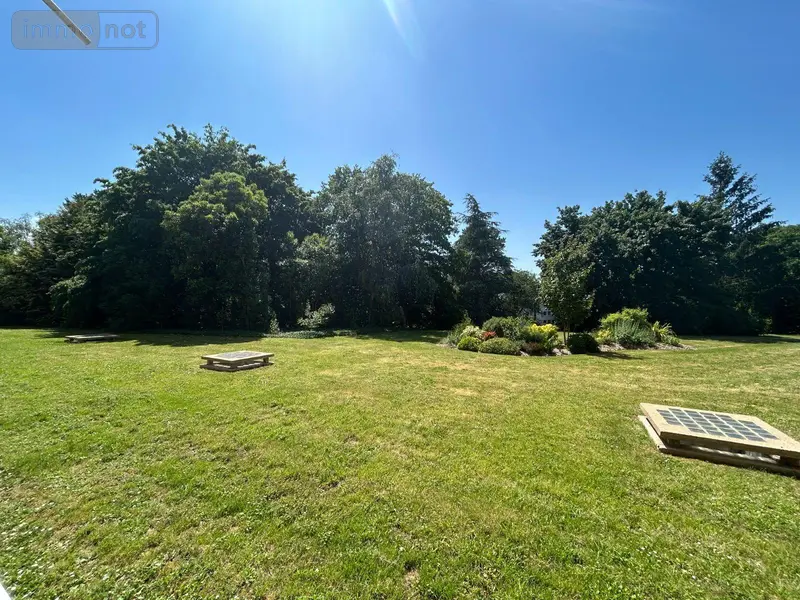 photos