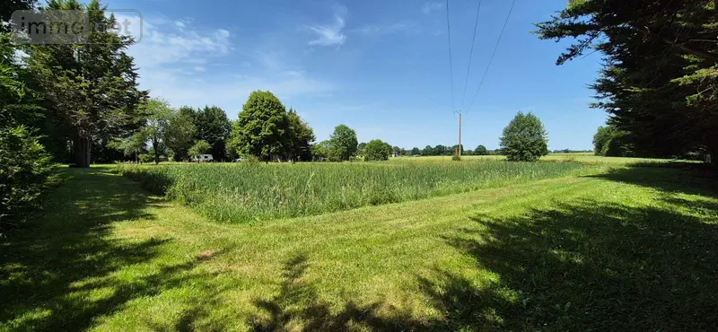 photos