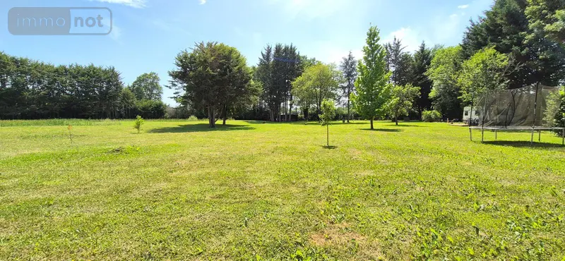 photos