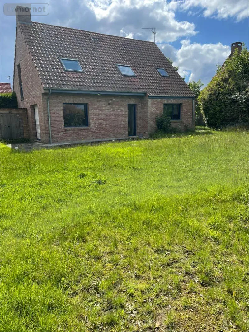 photos